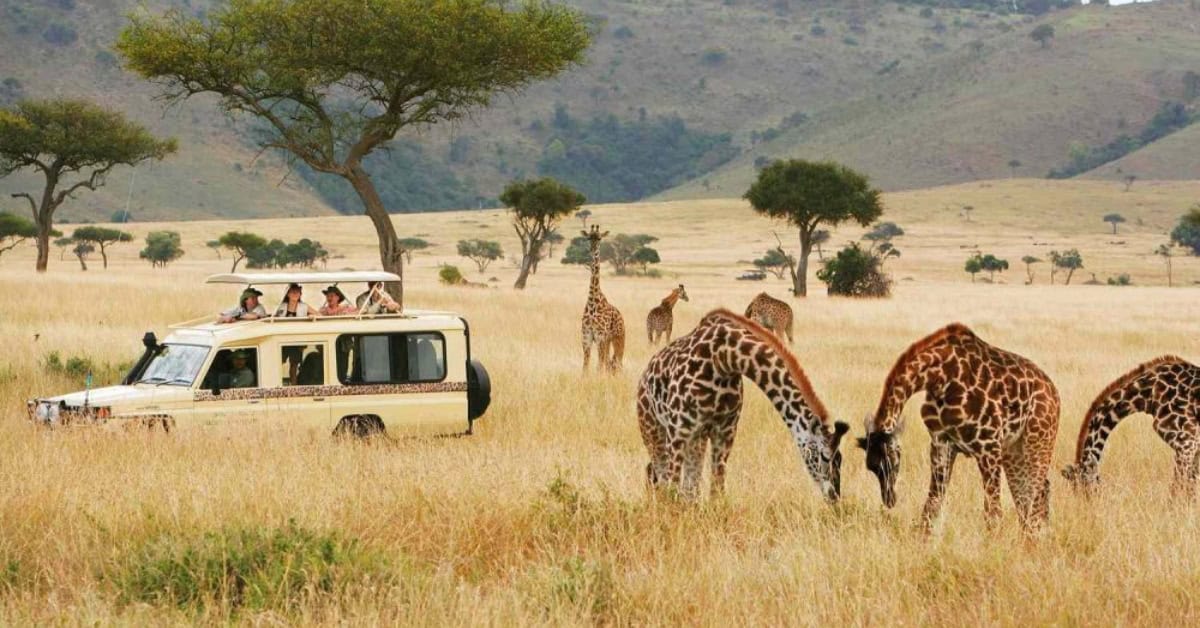 Tourvest Destination Management Launches Your Africa For Bespoke Travel Experiences