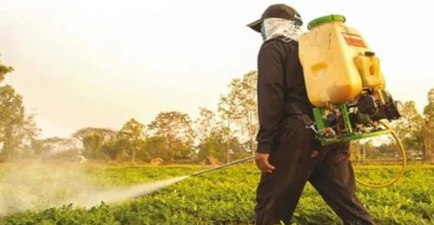 Africa’s agrochemicals market surges