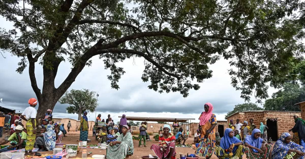 An outdoor market scene in Burkina Faso showing local residents gathering under a large tree, highli.