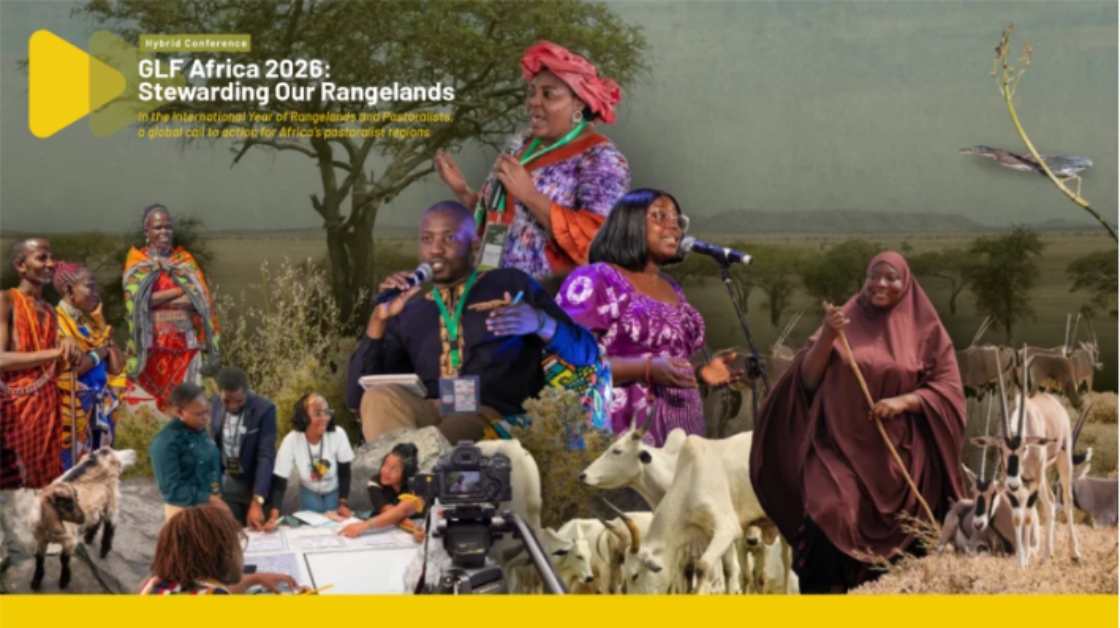 GLF Africa 2026