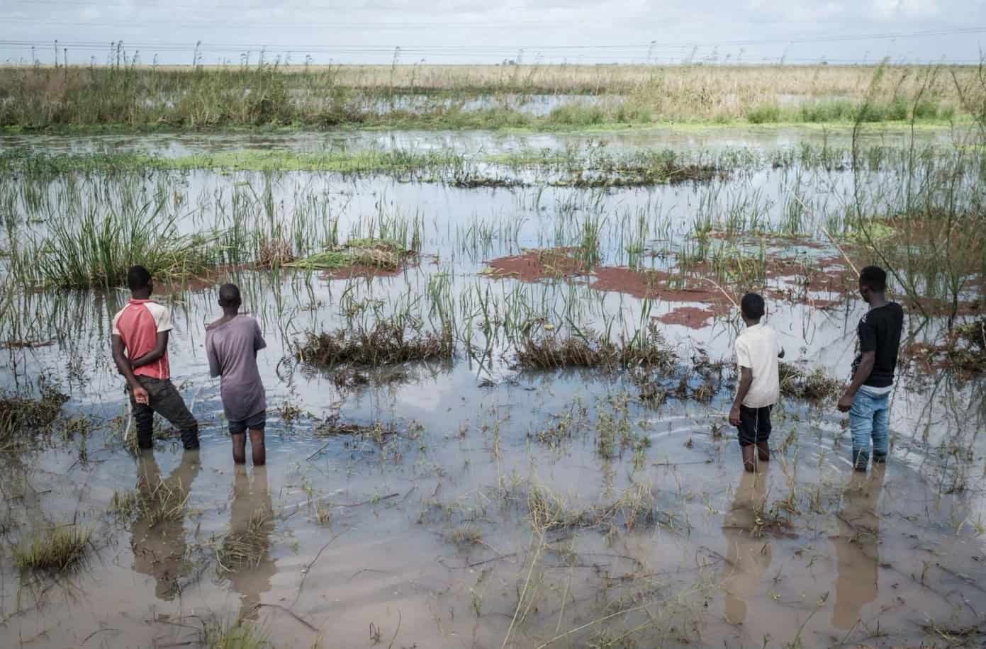 Africa’s middle class powers insurance boom
