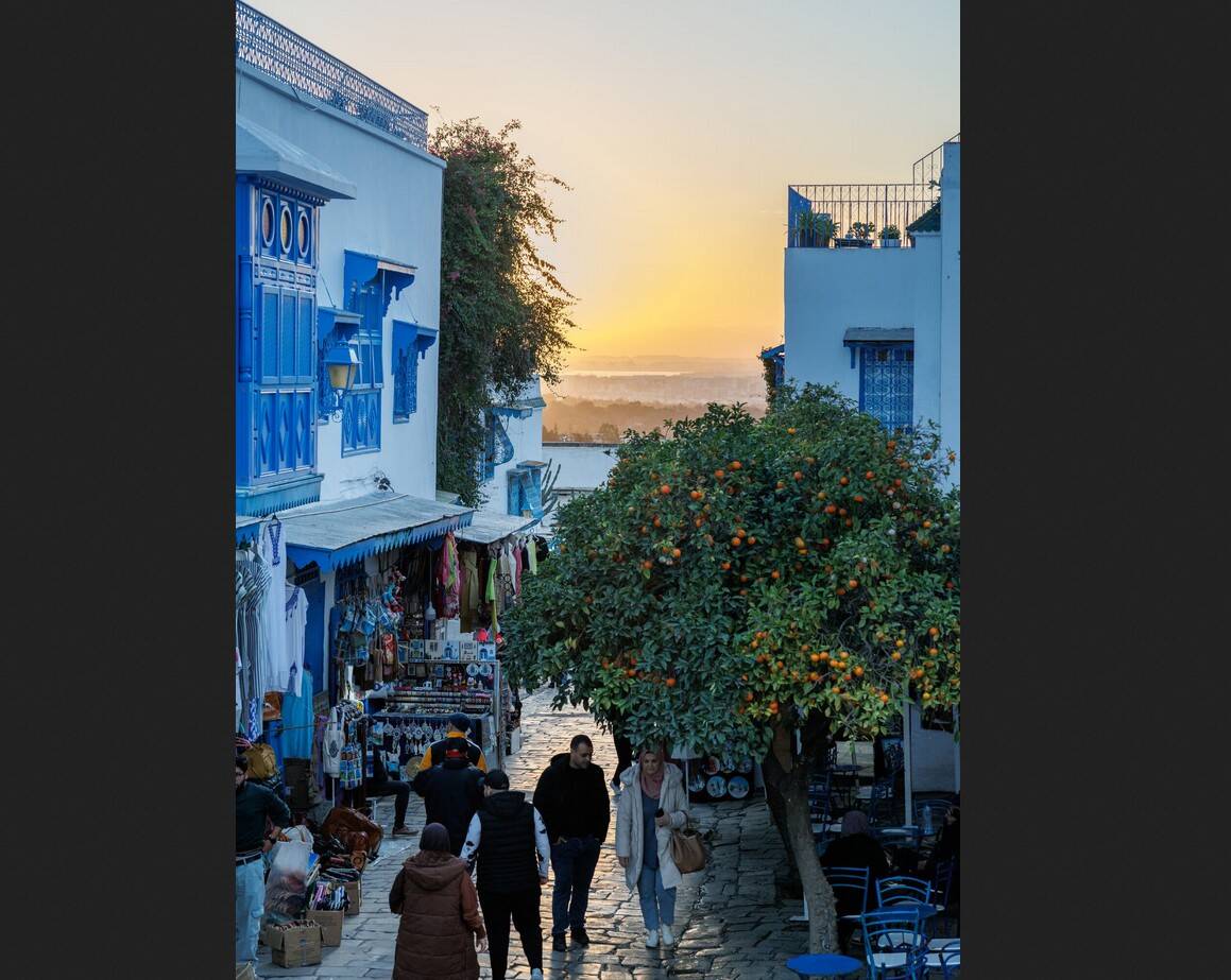 Inside the cultural bloom transforming Tunisia’s capital