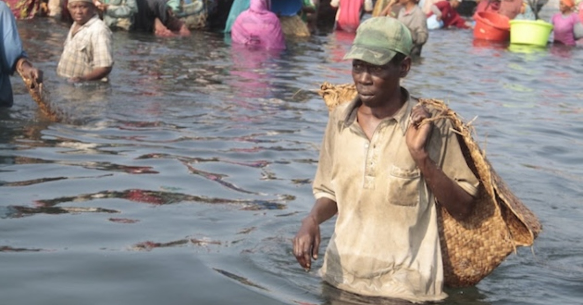 Fisherman walking through flooded waters in East Africa amid declining fish populations.