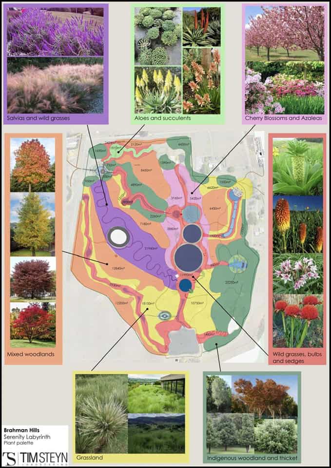 Map of South Africa highlighting green lung areas with native plants and forests.