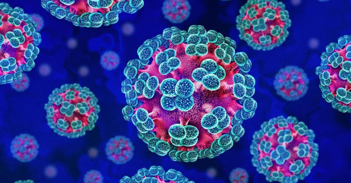 Microscopic view of hantavirus particles illustrating virus structure and spread mechanisms.