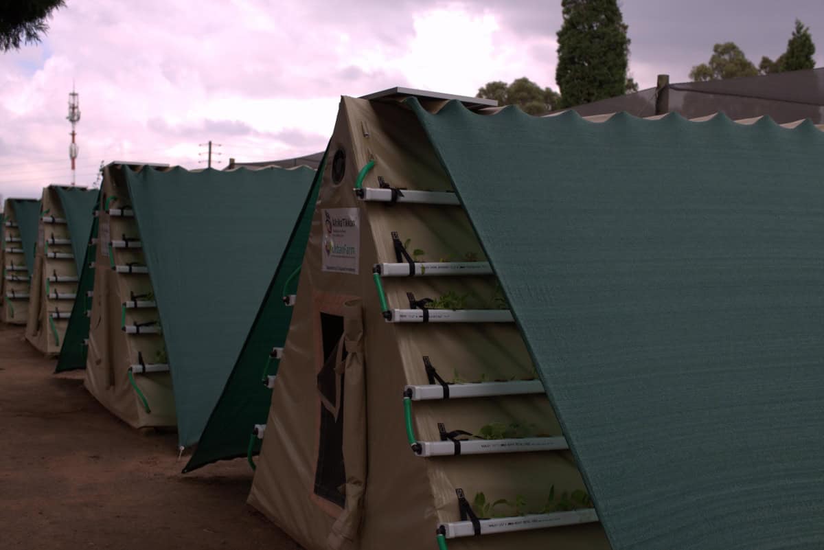 Affordable micro-farming tents for youth entrepreneurs tackling food insecurity.
