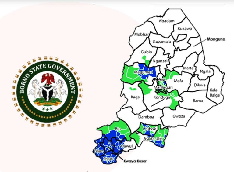 AI Training for Youth Employment Begins in Borno State