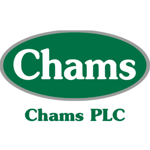 Chams Steps into Nigeria’s AI Frontier with New Subsidiary