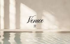 Venice AI valuation jumps above $600M