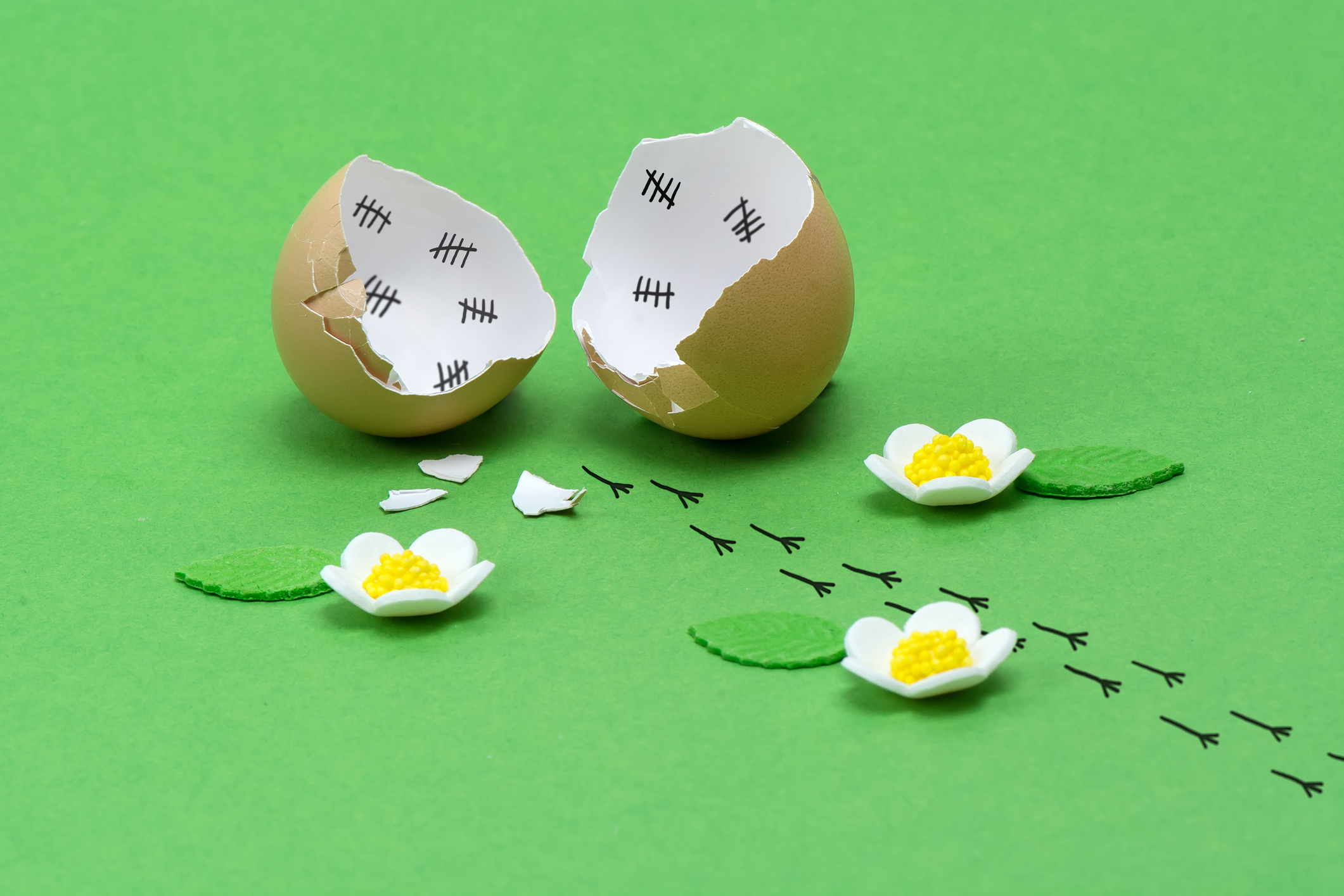 A cracked eggshell with tally marks drawn on the inside, surrounded by small white flowers and bird footprints on a bright green background, illustrating the idea that good results require a process.