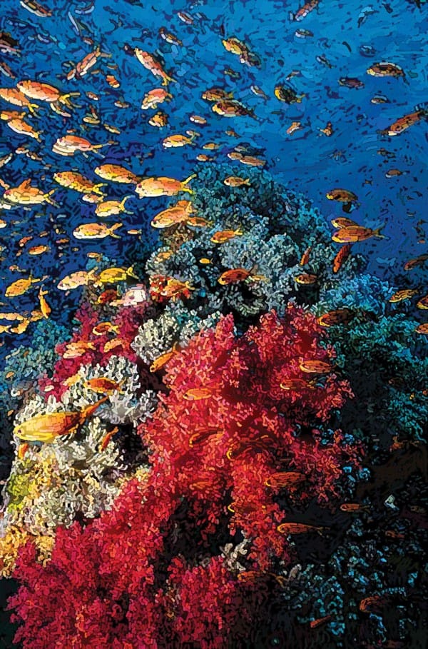 Illustration of an undersea scene featuring coral reef and fish.