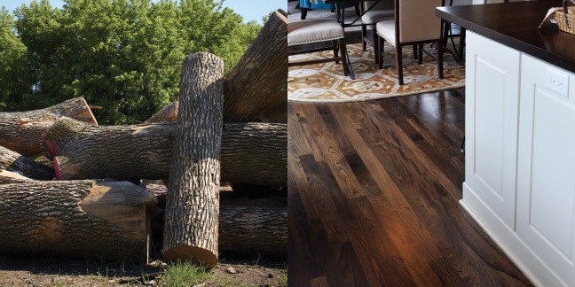Urban wood images.