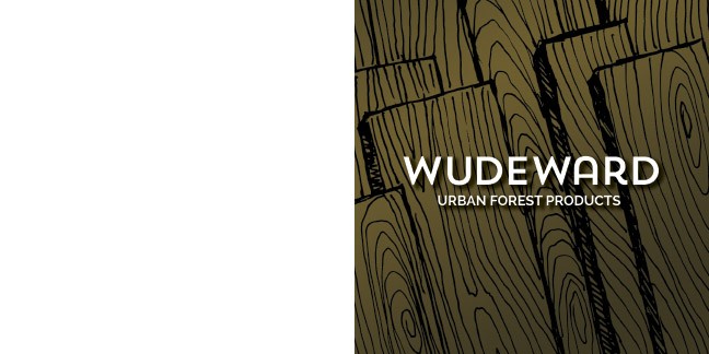 Custom illustrated pocket brochure, front cover