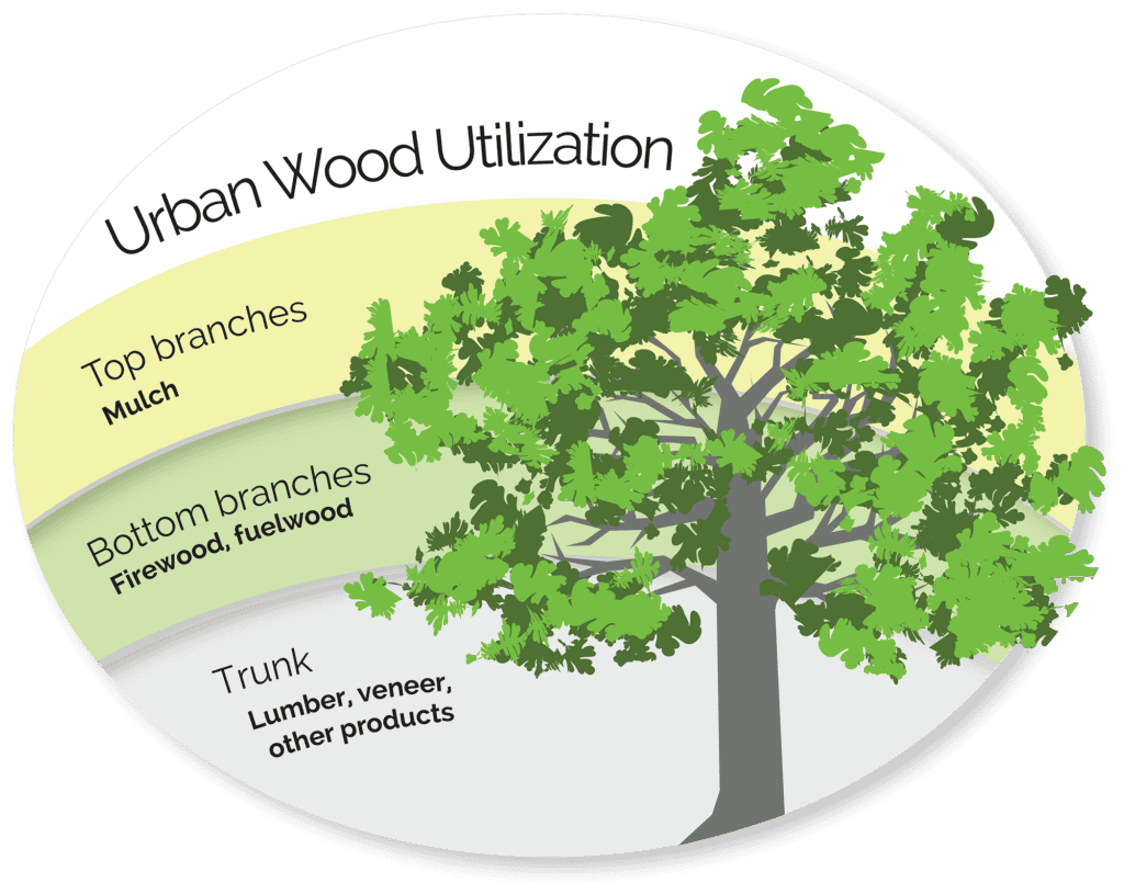 Infographic illustration the Utilization Chart