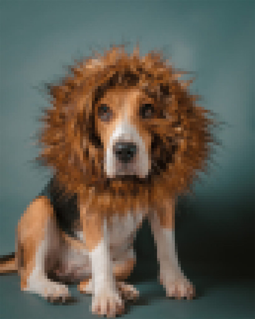 The same dog in a lion mane costume, rendered in large visible pixels to illustrate a pixel-based file format.
