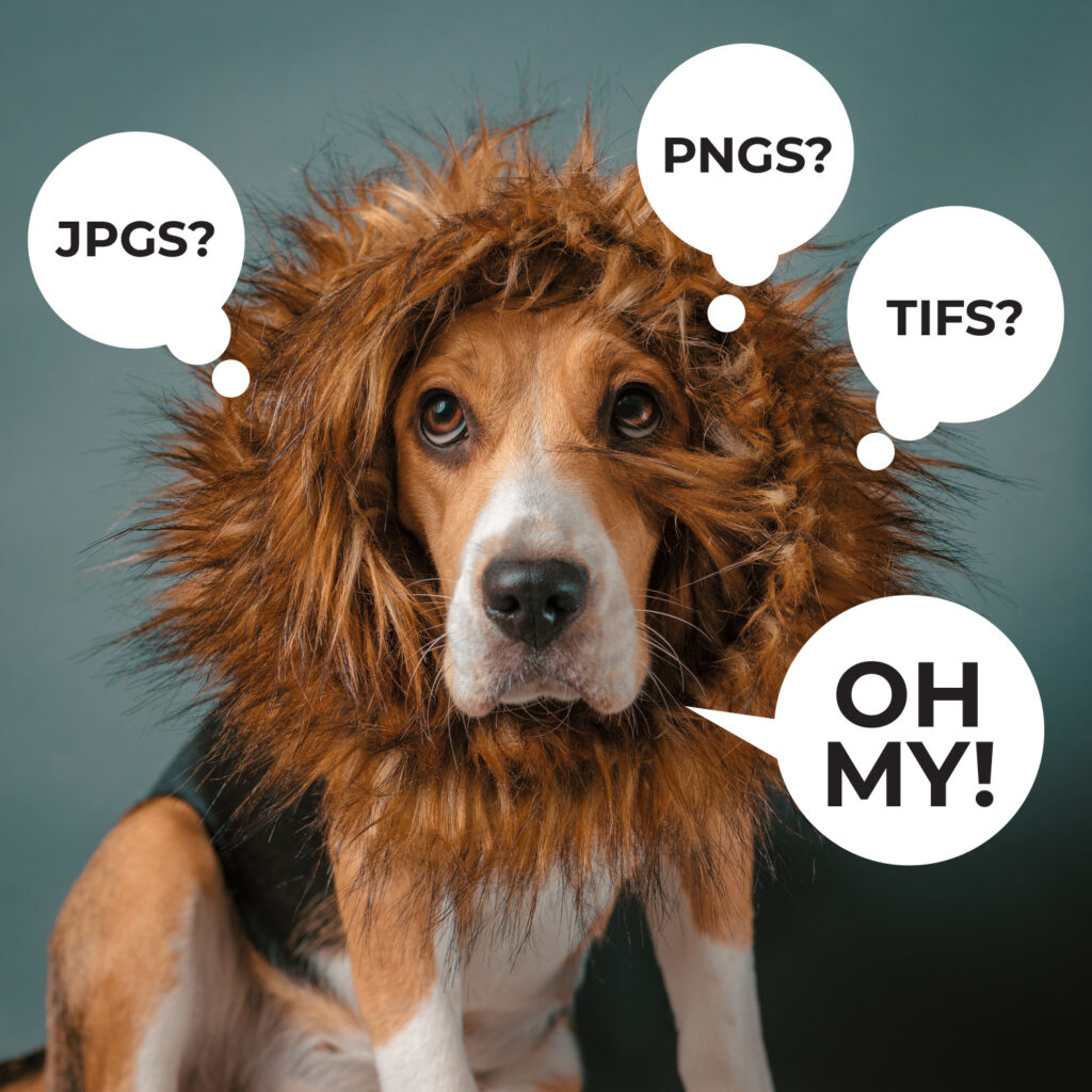 A black dog wearing a fluffy lion mane costume, with speech bubbles reading "JPGS?" "PNGS?" "TIFS?" and "OH MY!"