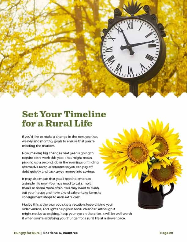 Set Your Timeline for a Rural Life, sunflowers in a vase and close up of an outdoor clock with golden foliage in the background.