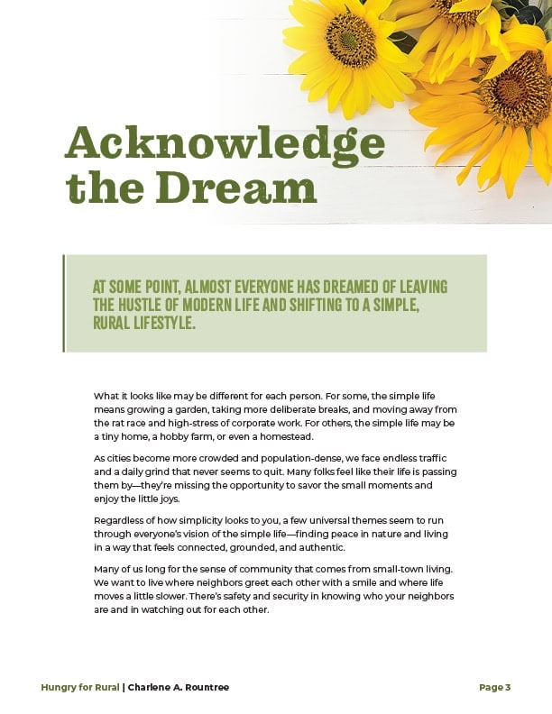 Acknowledge the Dream chapter front page, with image of sunflowers.