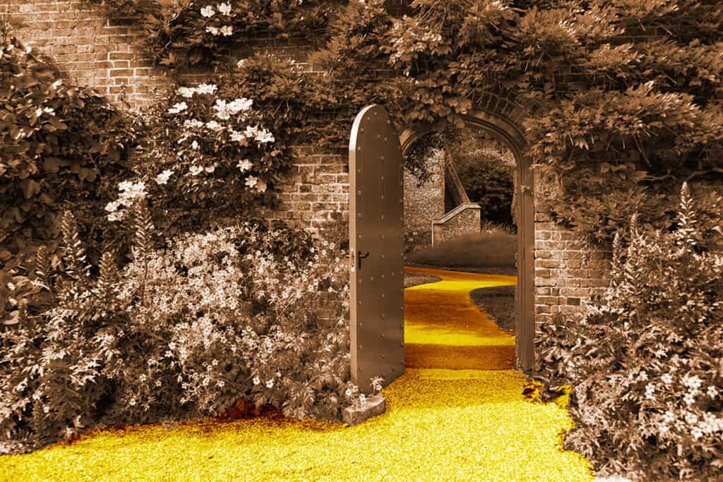 Sepia toned garden with bright yellow path.