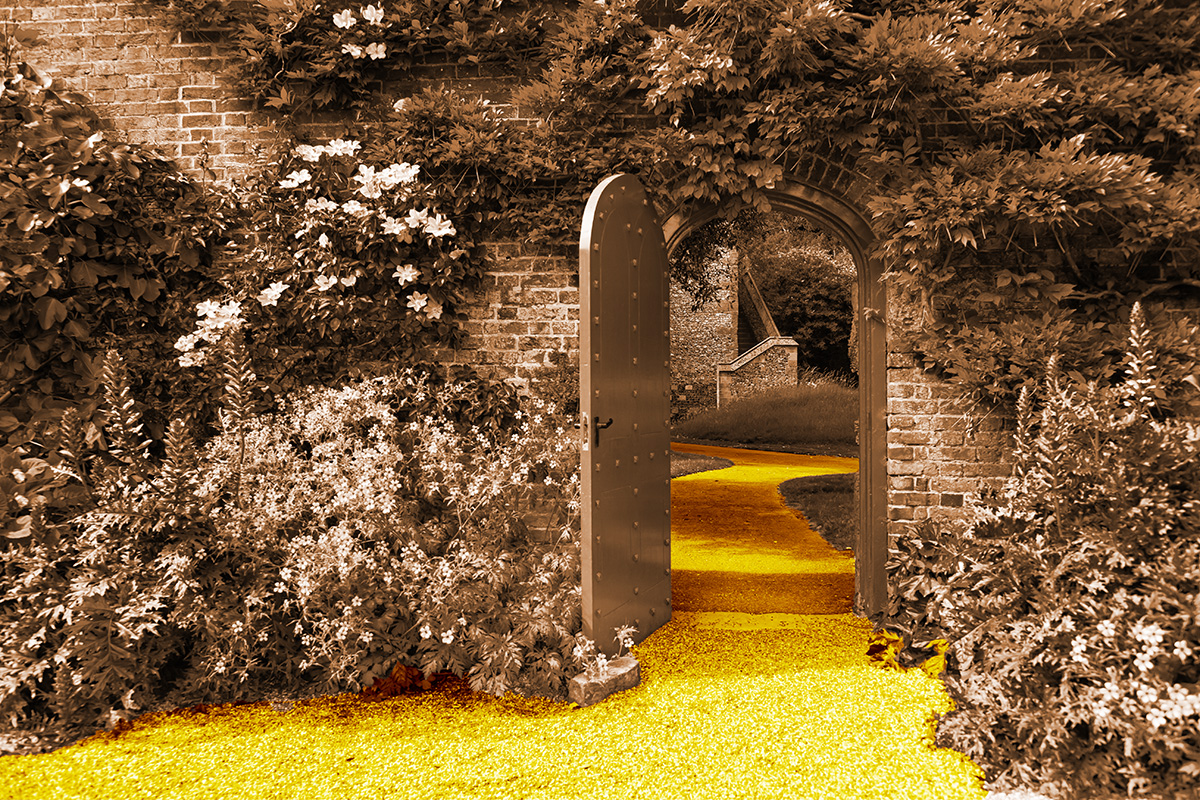 Sepia toned garden with bright yellow path.