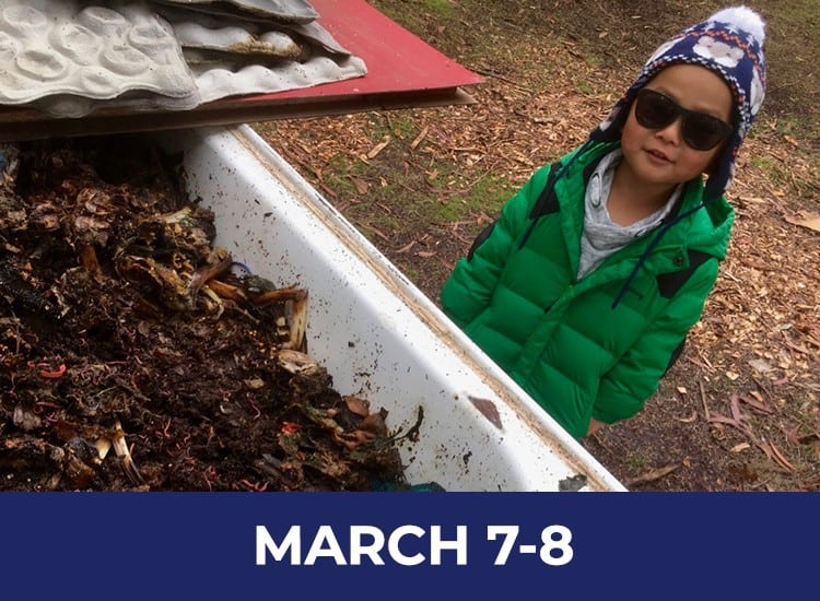 Compost Lab 2020