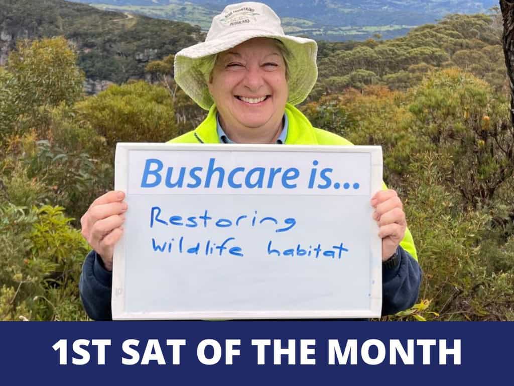 Bushcare-wzWdc1.tmp_