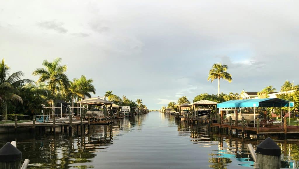 Green palm trees near waterfront in Fort Myers Beach, Florida, symbolizing Florida Business Entity Search​
