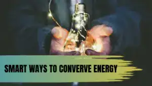 Energy-saving lighting ideas for modern homes and businesses.
