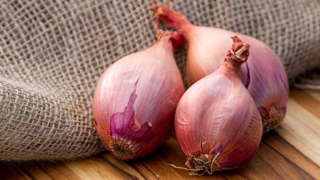 Oignon rouge et cheveux utilisation