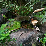 découvrez une sélection de codes et astuces pour embellir et entretenir votre jardin facilement. conseils pratiques, tutoriels et idées pour un jardin parfait toute l'année.