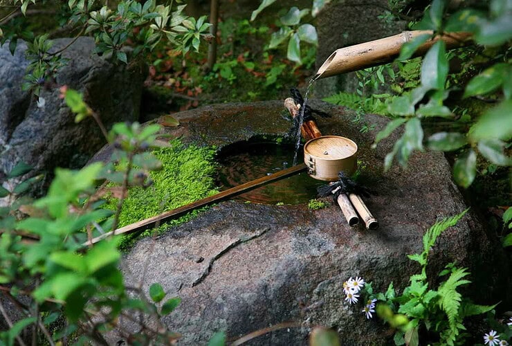 découvrez une sélection de codes et astuces pour embellir et entretenir votre jardin facilement. conseils pratiques, tutoriels et idées pour un jardin parfait toute l'année.