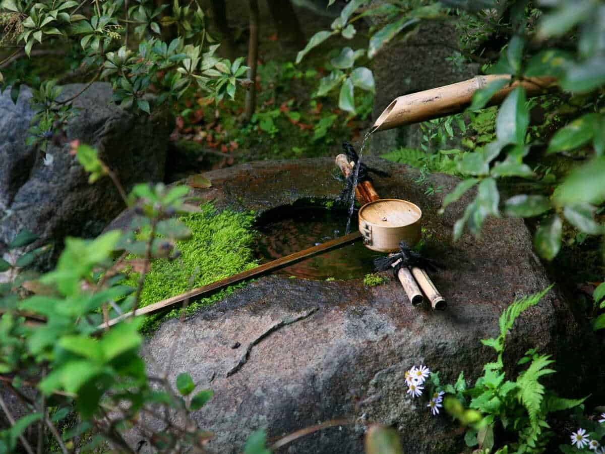 découvrez une sélection de codes et astuces pour embellir et entretenir votre jardin facilement. conseils pratiques, tutoriels et idées pour un jardin parfait toute l'année.