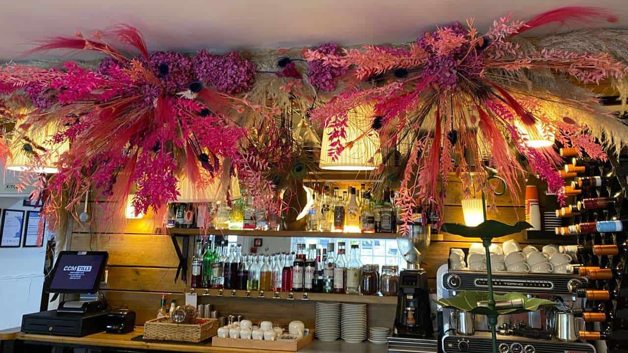 event bar bright dried flowers display dorset dried flowers