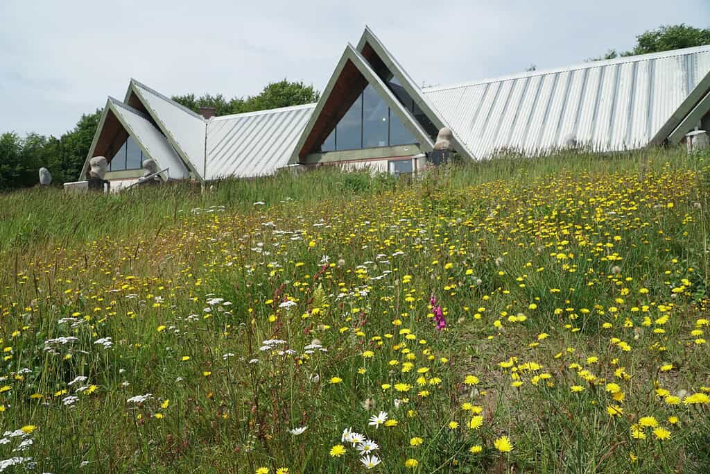 1. Moderne kunstcenterbygning med grøn tag og glastage, omgivet af blomster og natur.