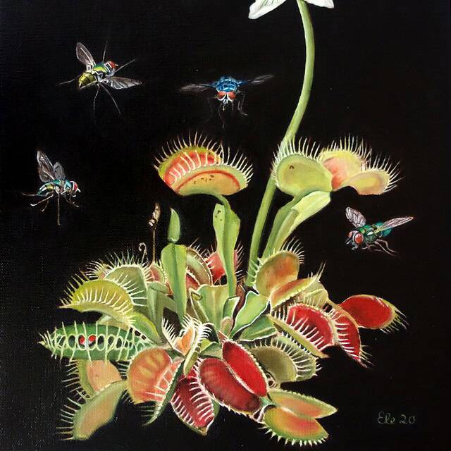 Detaljeret maleri af surrealistisk plante med insekter og ansigt.