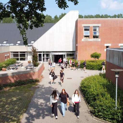 Repræsentativt billede af link til siden 'Ledelse'