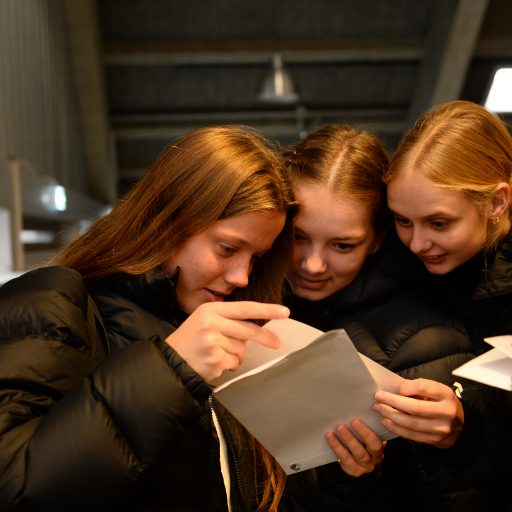 Repræsentativt billede af link til siden 'Karakterer og konsultationer'