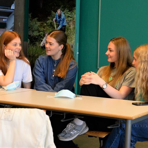 Repræsentativt billede af link til siden 'Ordensregler'