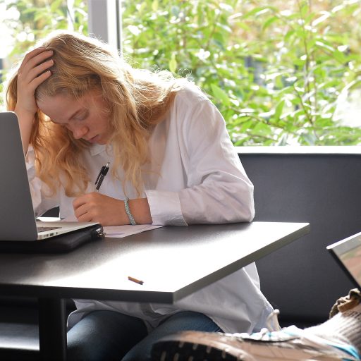 Repræsentativt billede af link til siden 'Brug af IT til eksamen'