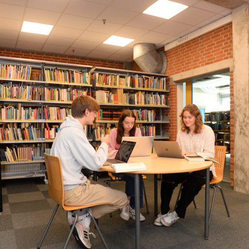 Repræsentativt billede af link til siden 'Biblioteket'