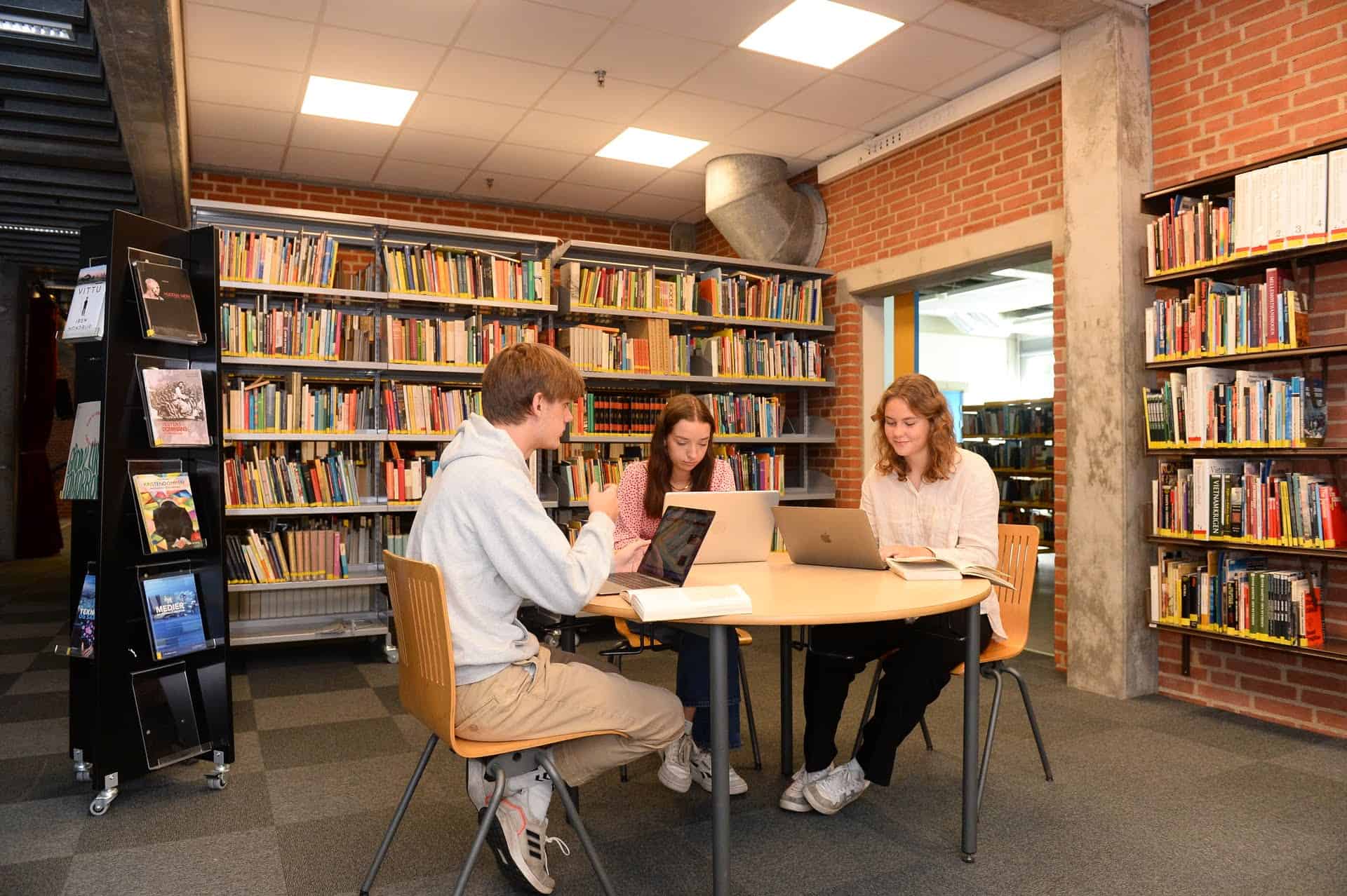Bibliotek
