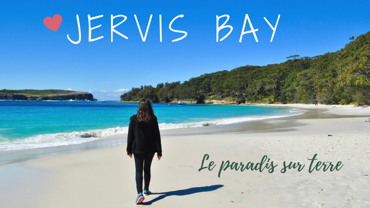 Jervis Bay Le paradis sur terre Jervis Bay, le paradis sur terre ! Conseils & infos pratiques