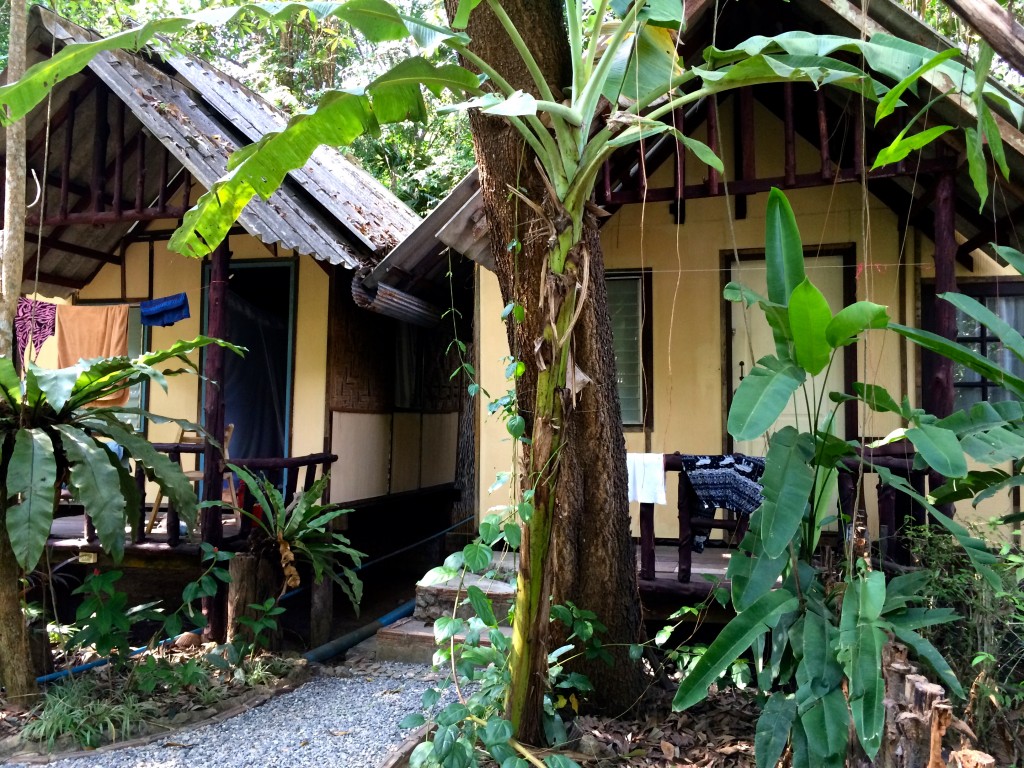 Excursion dans le Parc National Khao Sok : récit et infos utiles 3 Jungalows Khao Sok, Thailand
