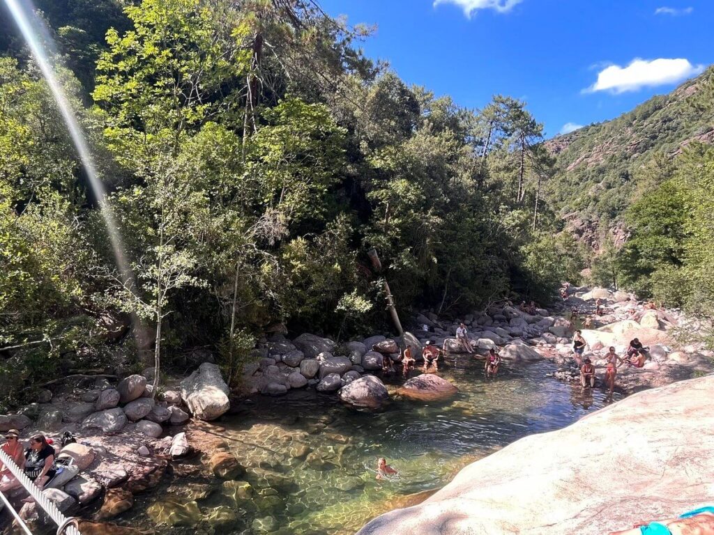 la foret de bonifatu
