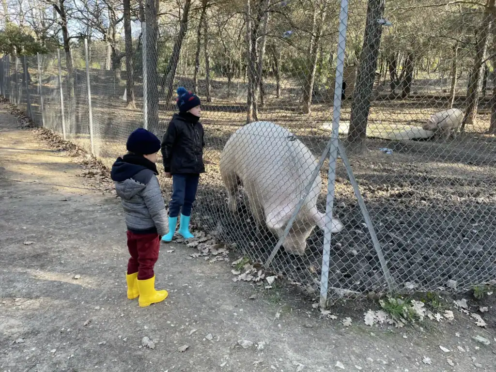 ferme pédagogique simiane