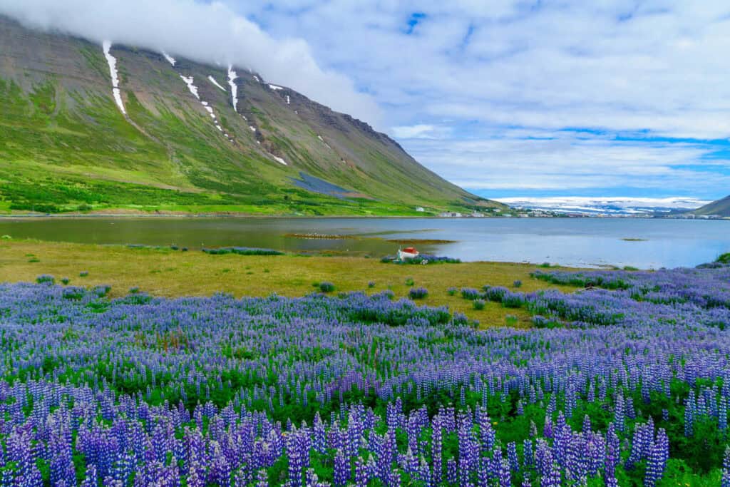 comment s habiller pour vivre en islande