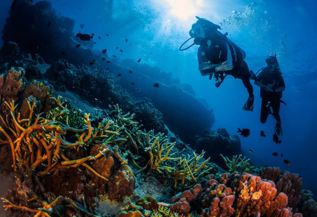 Qu'est-ce qui rend Koh Tao si spéciale ?