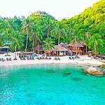 koh tao avis