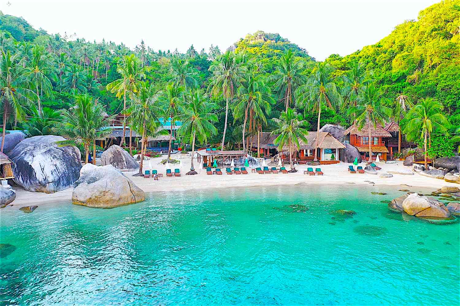 koh tao avis