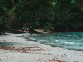 20c356e487df504f17dfd6873bde0415 Excursion en Martinique : découvrez la baignoire de Joséphine et naviguez avec Chab’Island